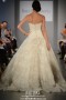 Ines Di Santo Esme Back