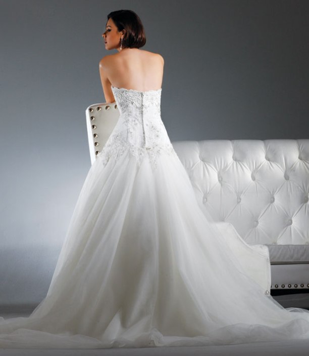 David Tutera  Danielle back