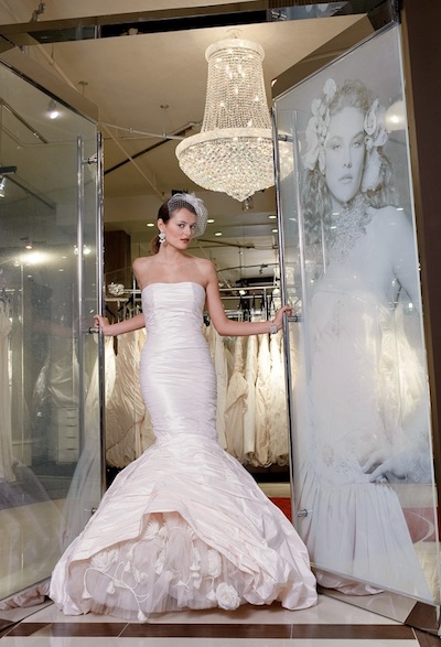 Glamorous Bride in Wedding Dress