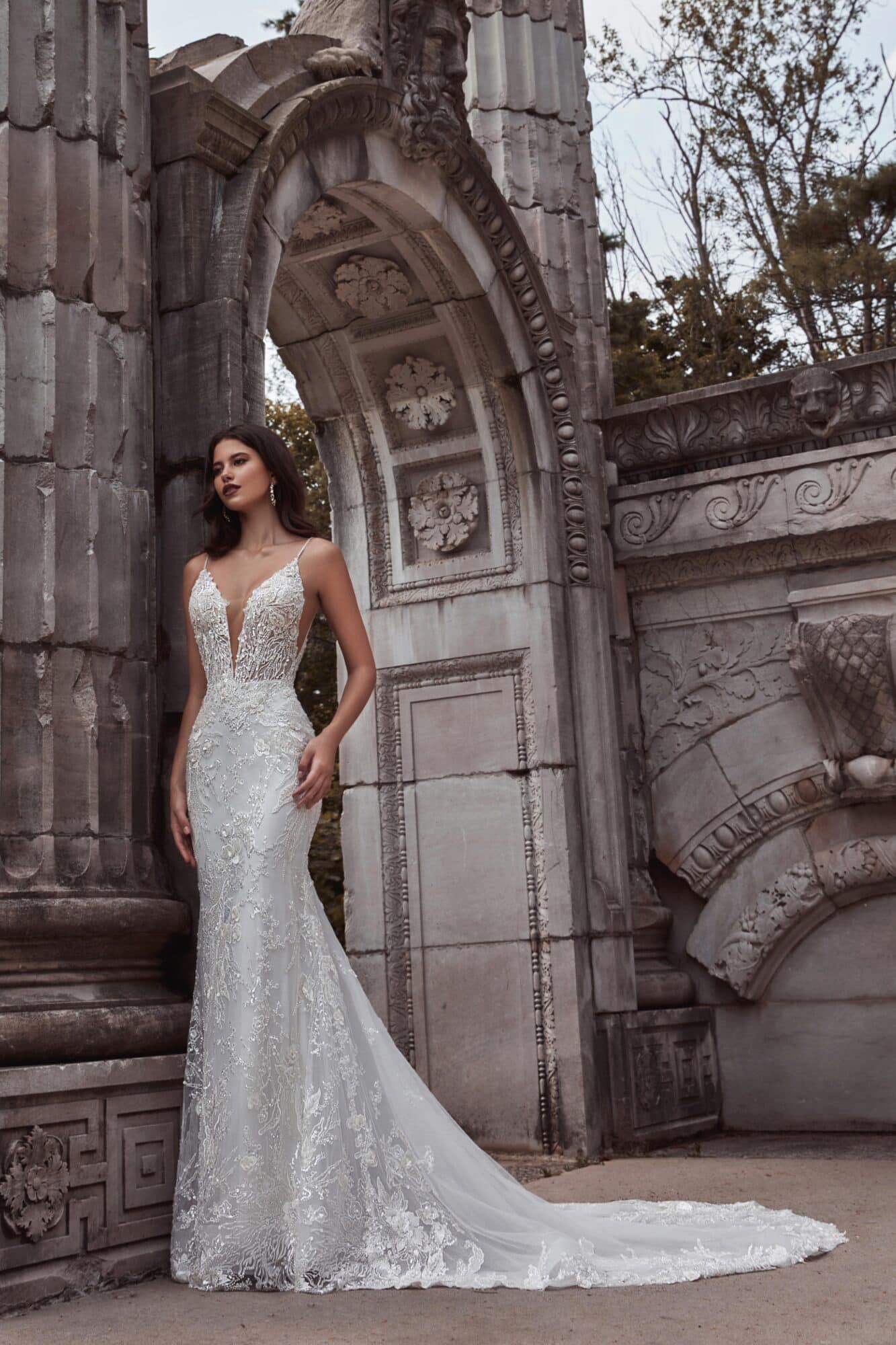 Calla Blanche | Thalia 121104