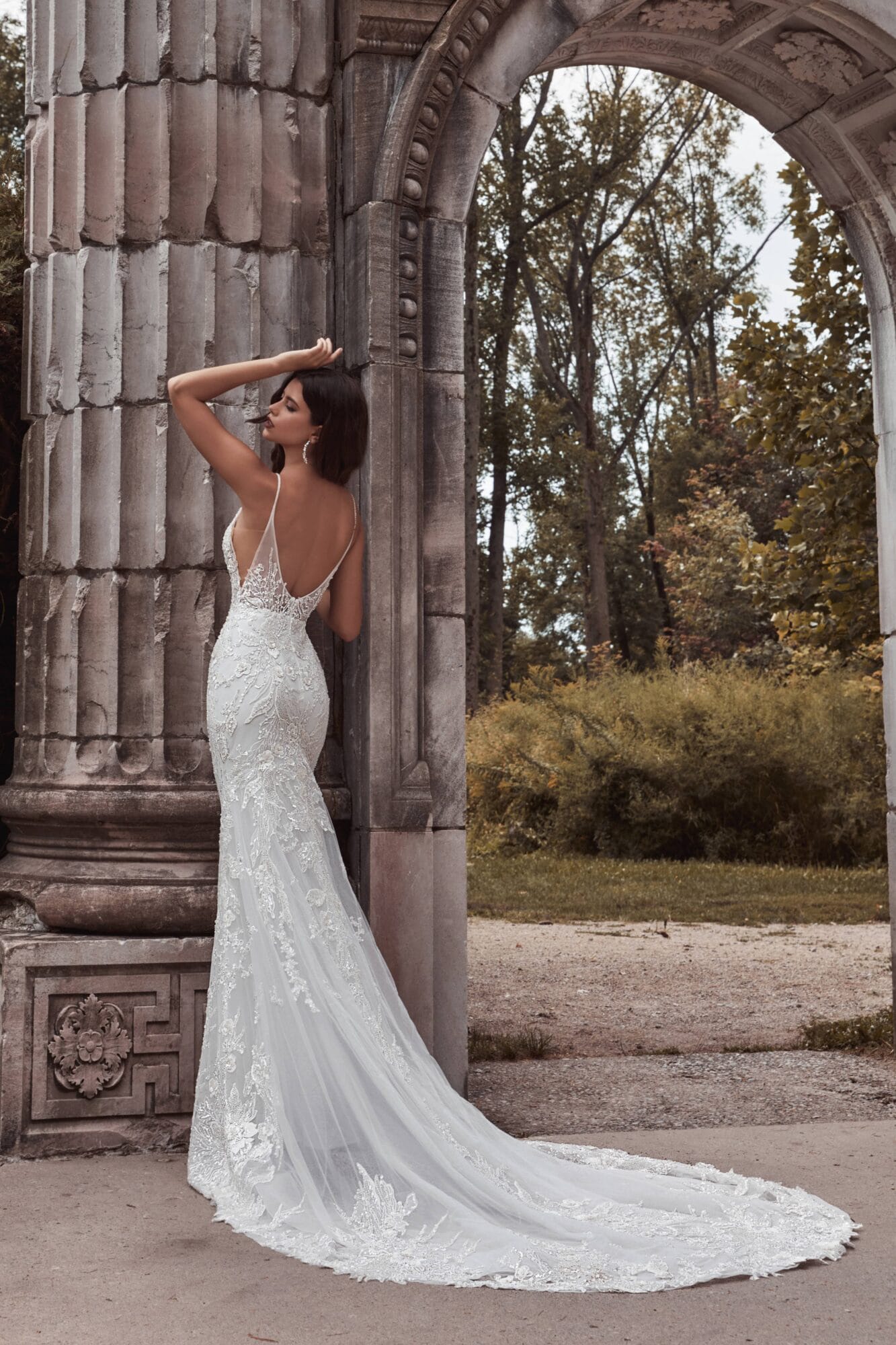 Calla Blanche | Thalia 121104