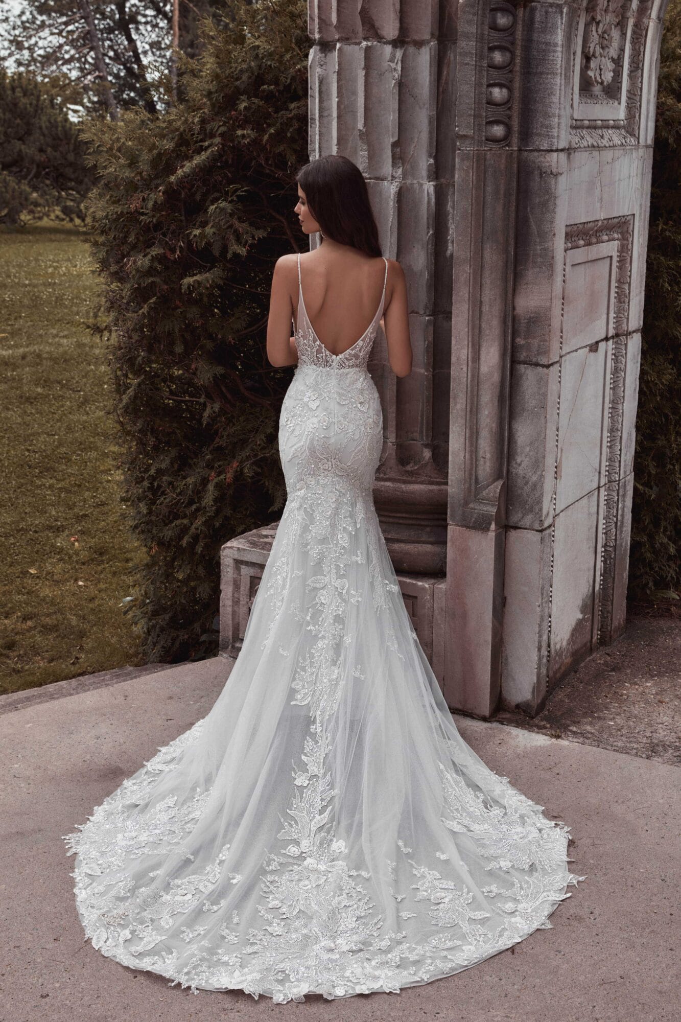Calla Blanche | Thalia 121104