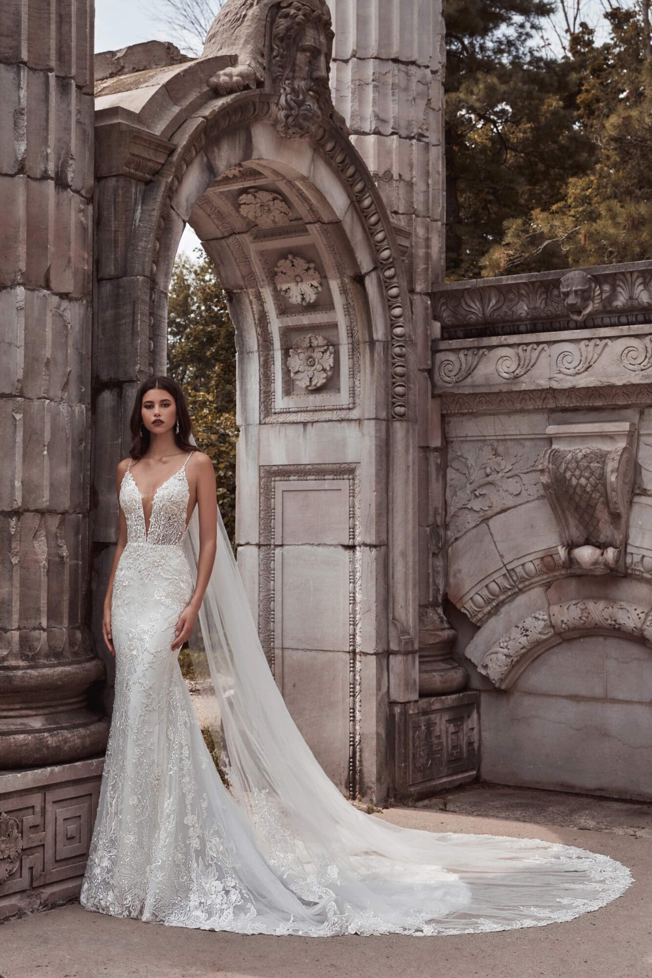 Calla Blanche | Thalia 121104