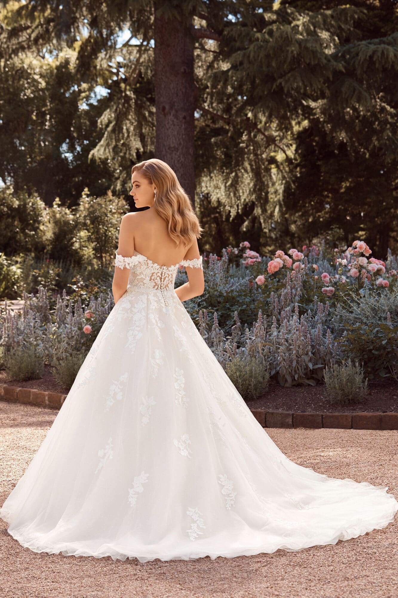 Sophia Tolli | Reverie