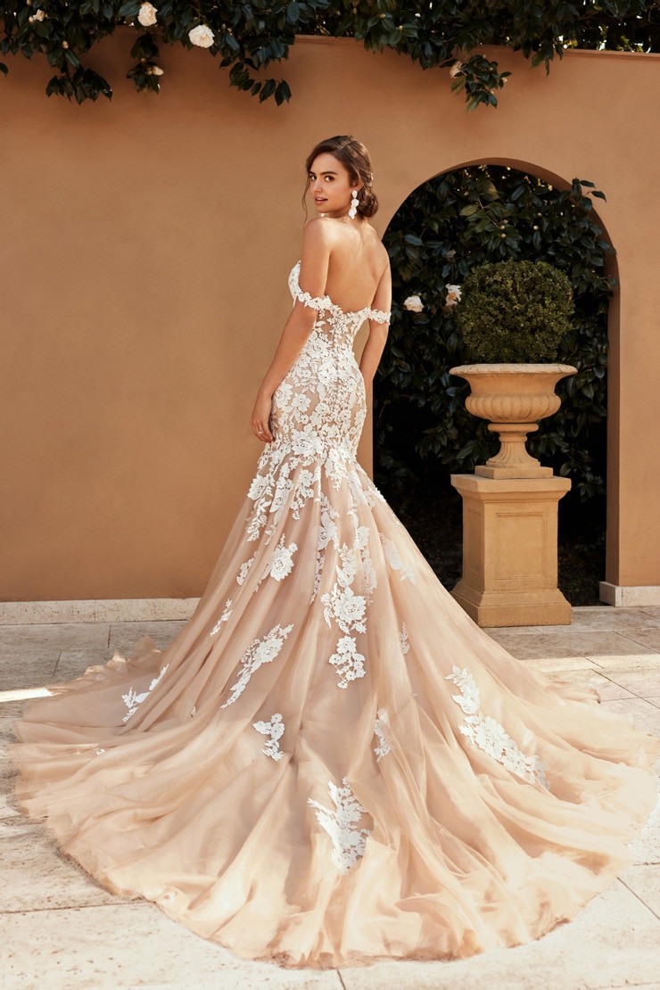 Sophia Tolli | Sasha