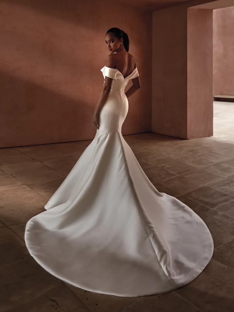 Pronovias, Avonia Wedding Dress