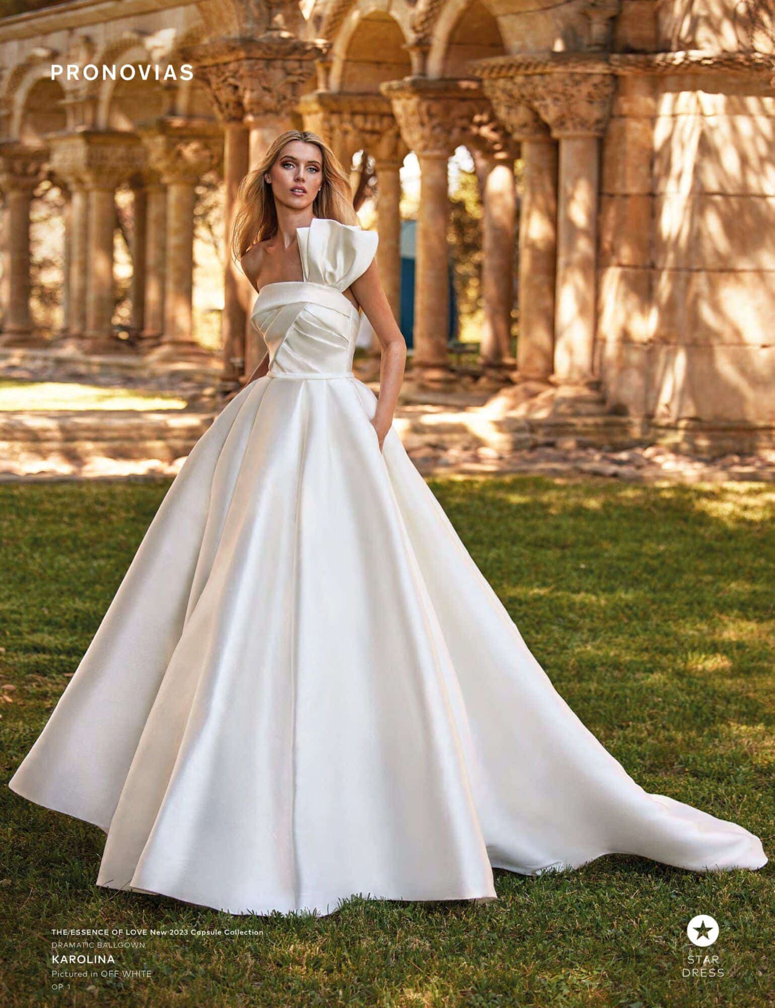 Pronovias Wedding Dress Collection | Bridal Reflections