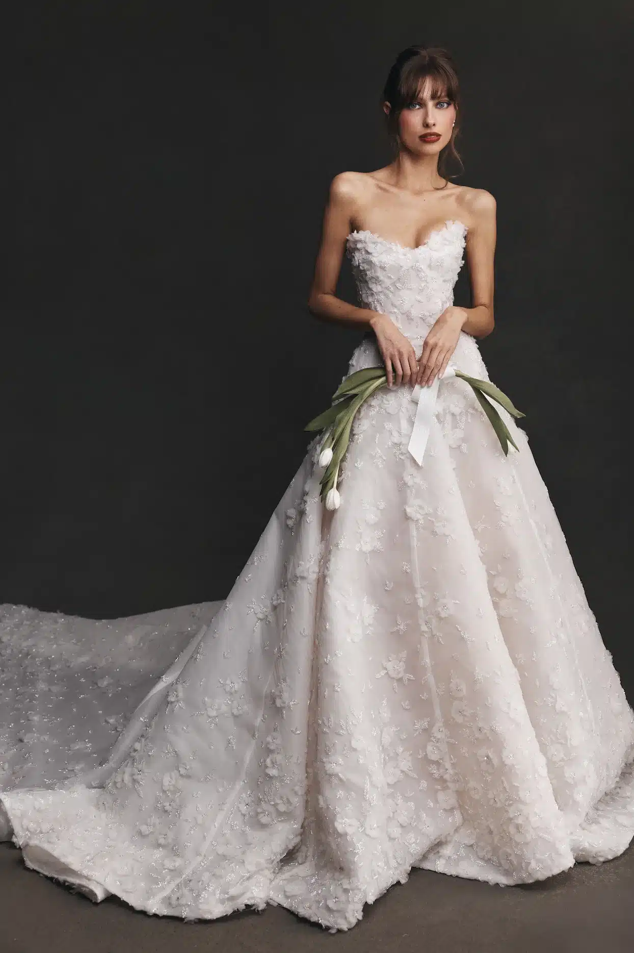 Stella - Coming Soon